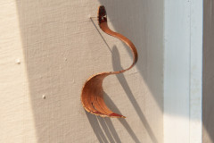 Copper Fork